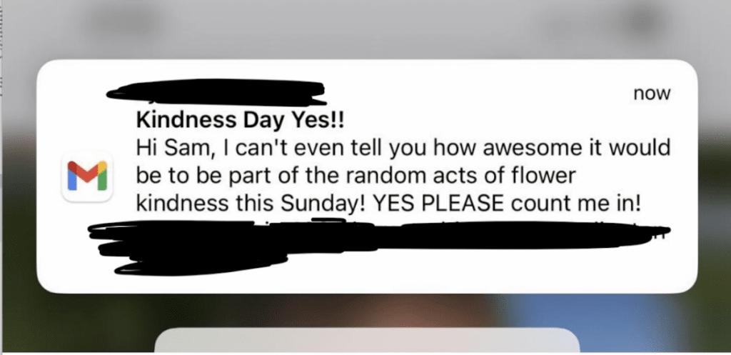 Screenshot 2022 11 17 at 11.14.25 am