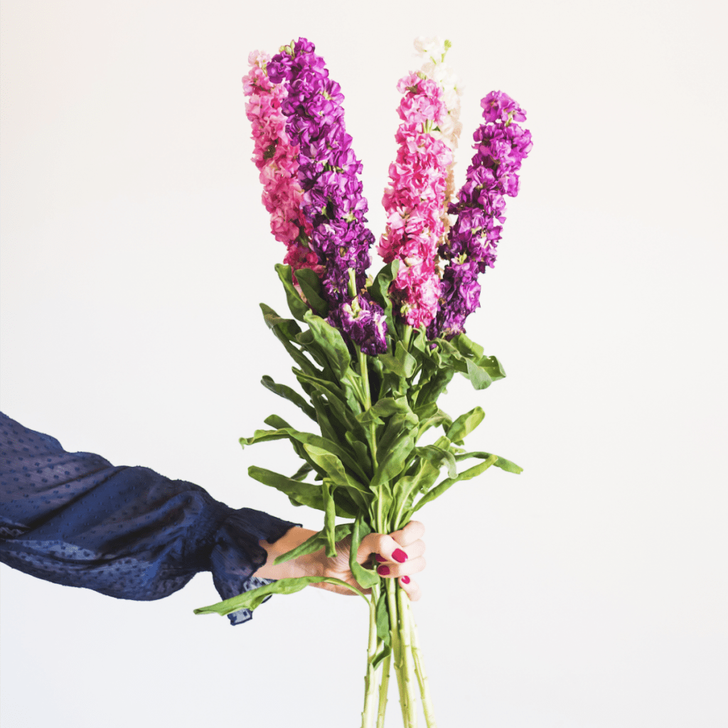 Screenshot 2023 04 12 at 12.22.44 pm