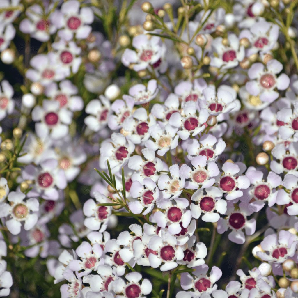 Screenshot 2023 04 12 at 12.24.55 pm