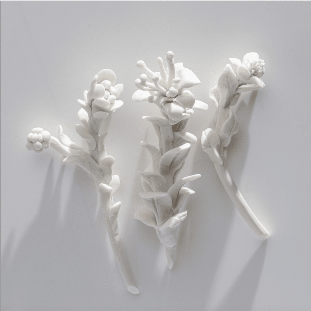 Screenshot 2023 04 21 at 9.58.00 pm