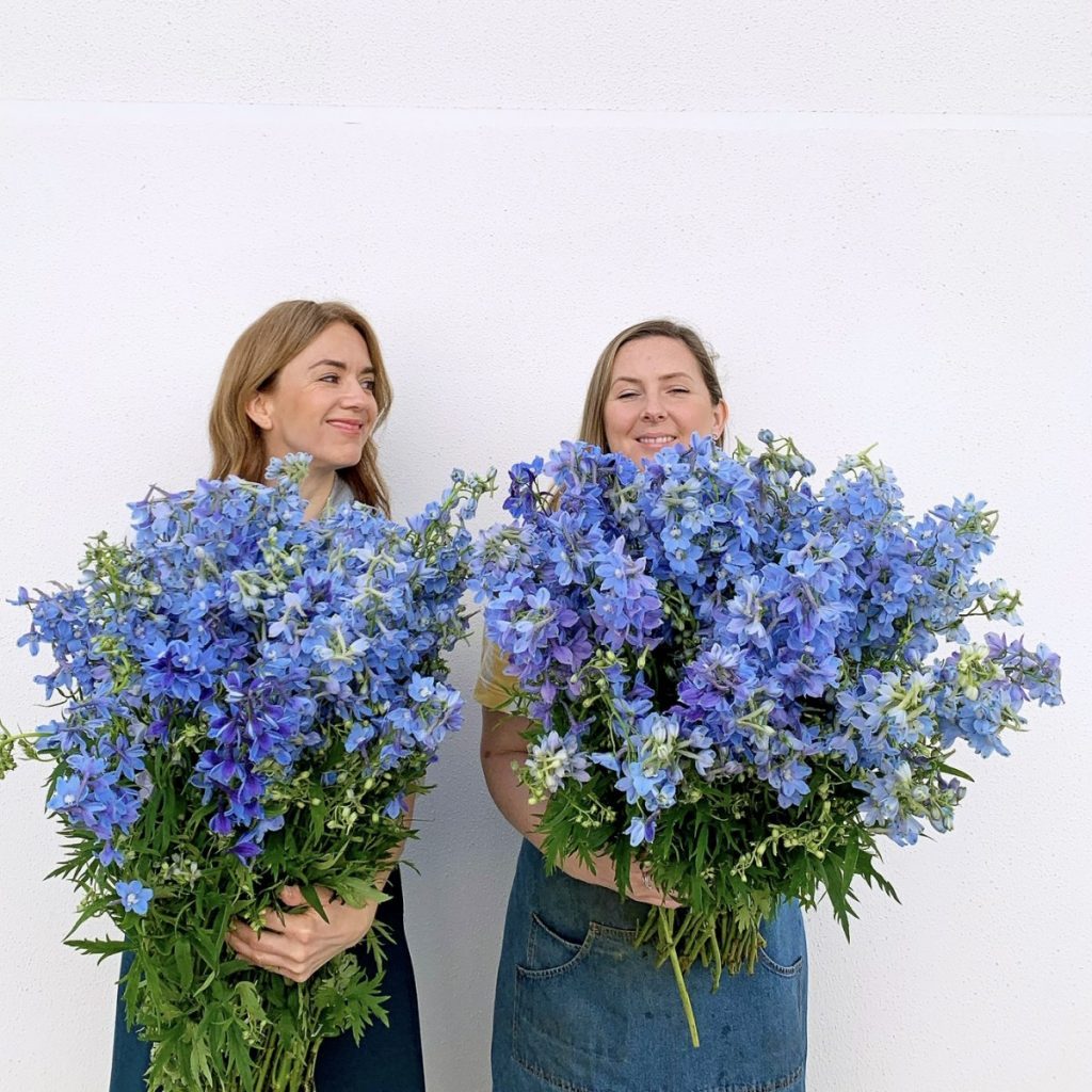 delph blue sam sarah