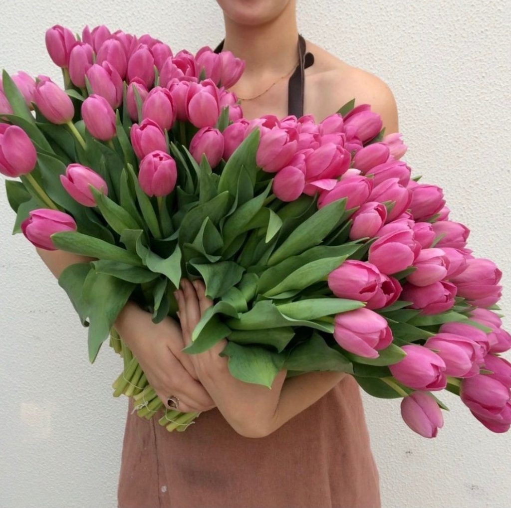 pink tulip bundle