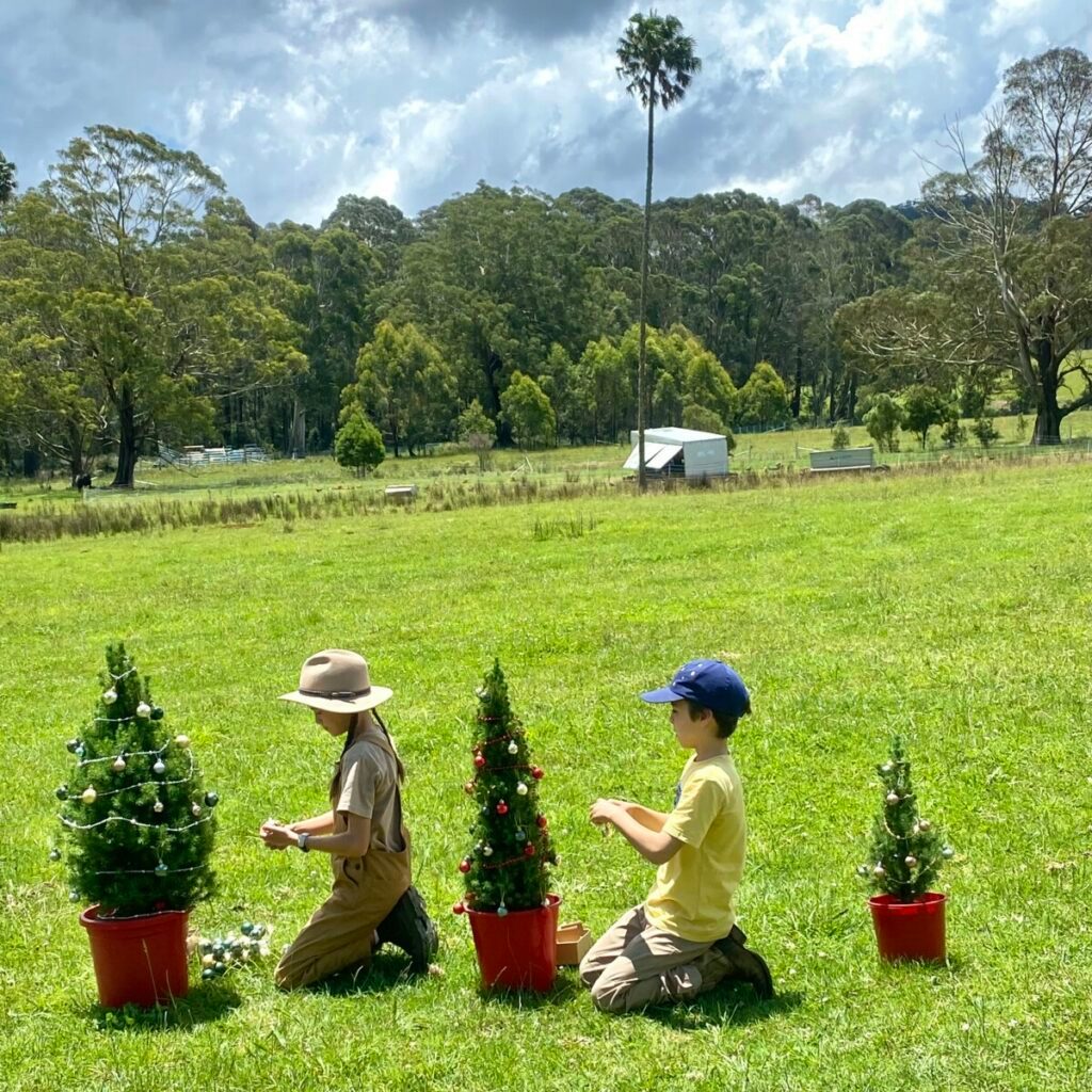 Children decorating mini live Christmas trees at farm