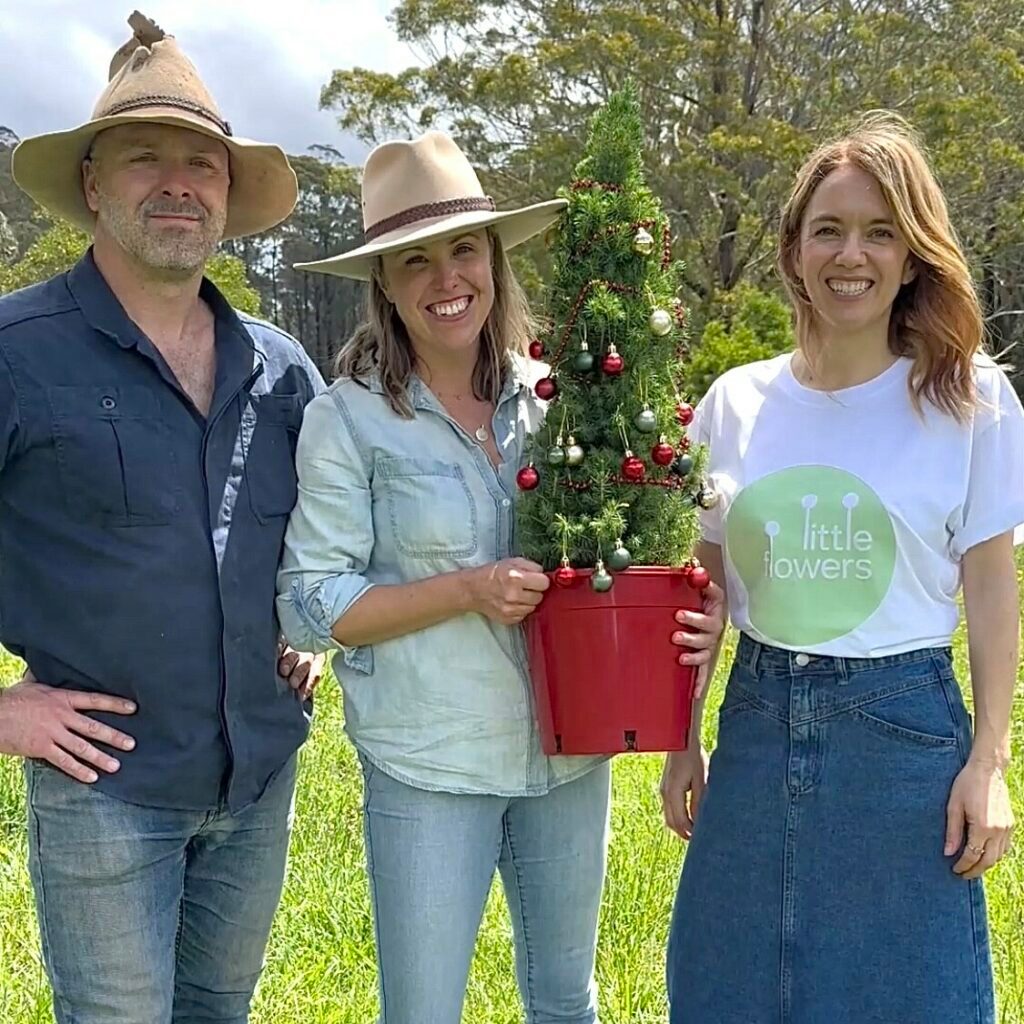 Little Flowers with farmers and Christmas tree