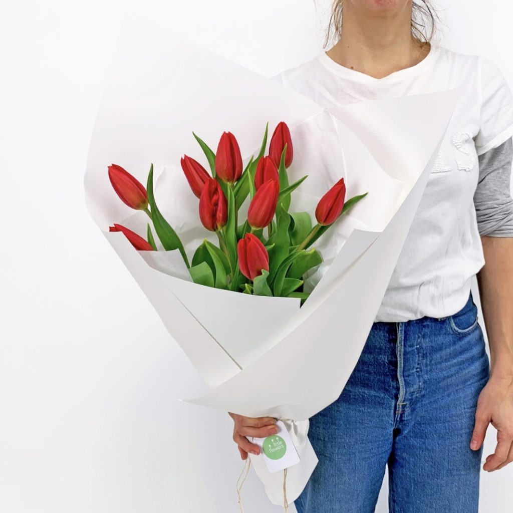 Bouquet of red Tulips