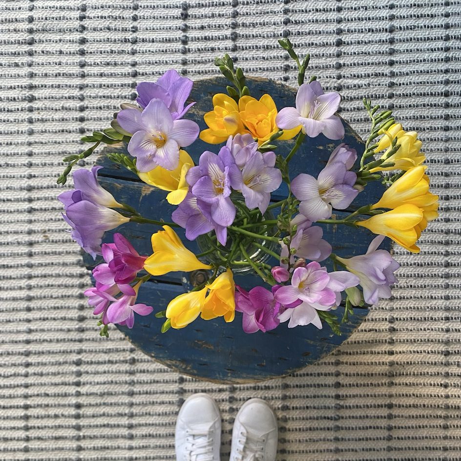 Top-down view of a vase filled with multicoloured freesias in purple, yellow, and pink