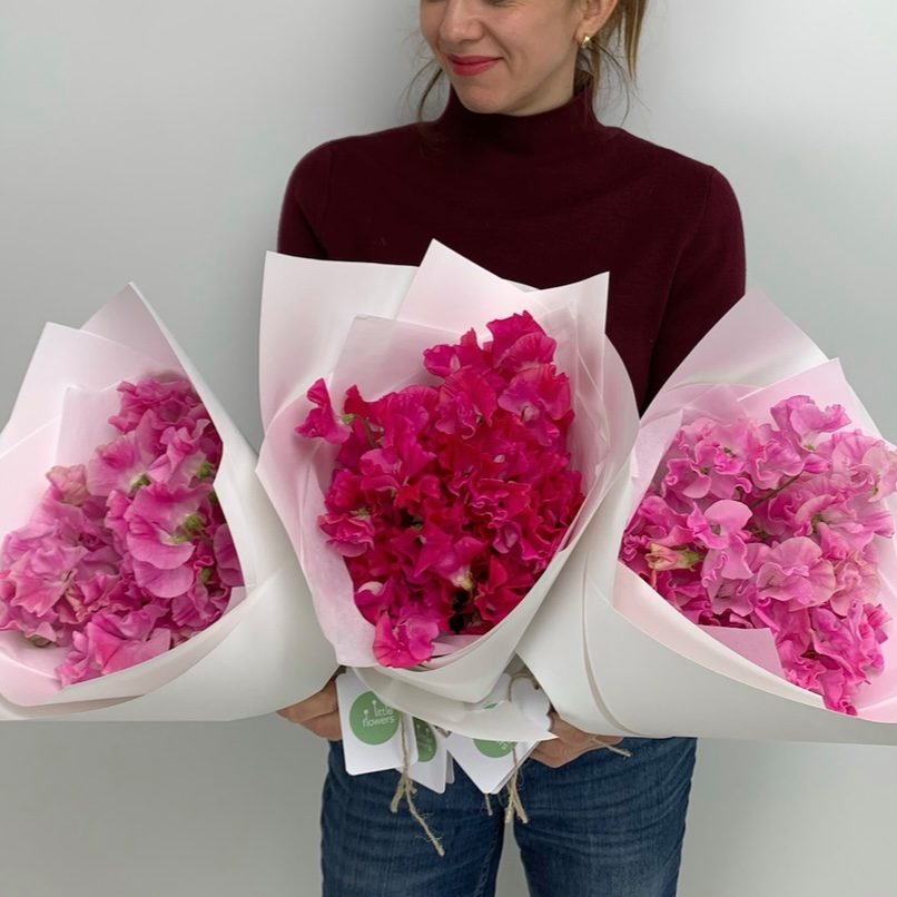 Hand-tied bouquets of sweet peas in various pink shades, ready for delivery