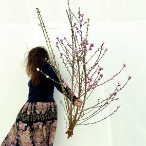 A florist holding branches of spring blossom