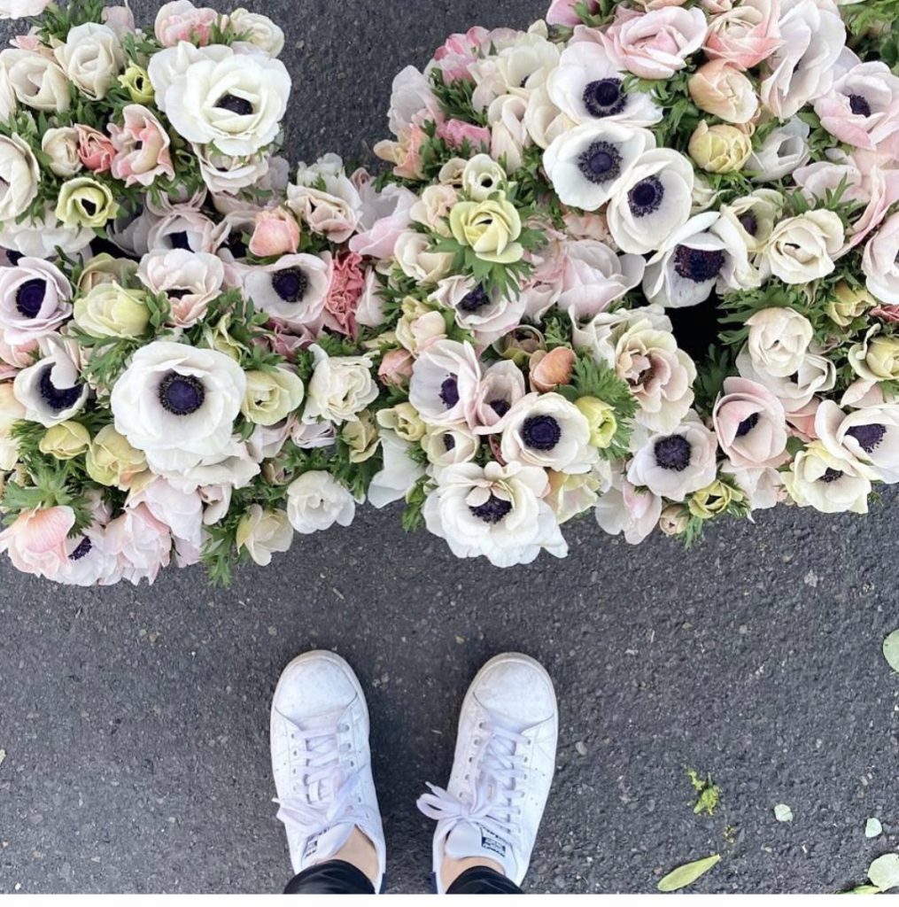 Overhead view of blush anemones in soft pastel tones, grouped in market buckets