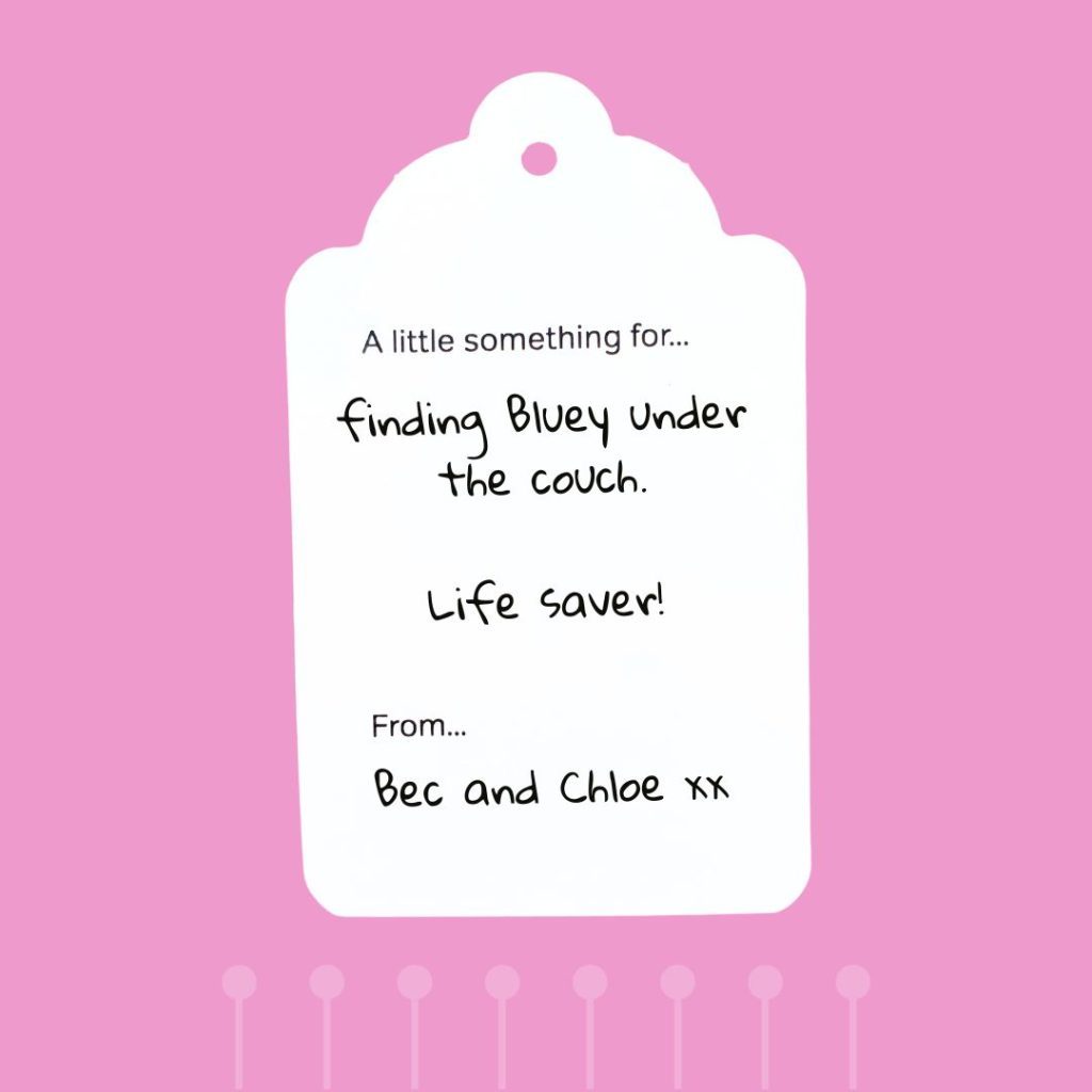 Tag message: “For finding Bluey under the couch. Life saver.”