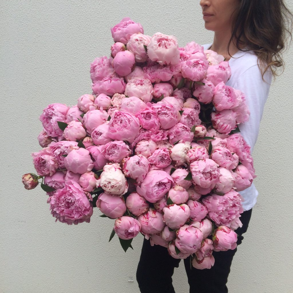 Florist holding a massive armful of pink peonies