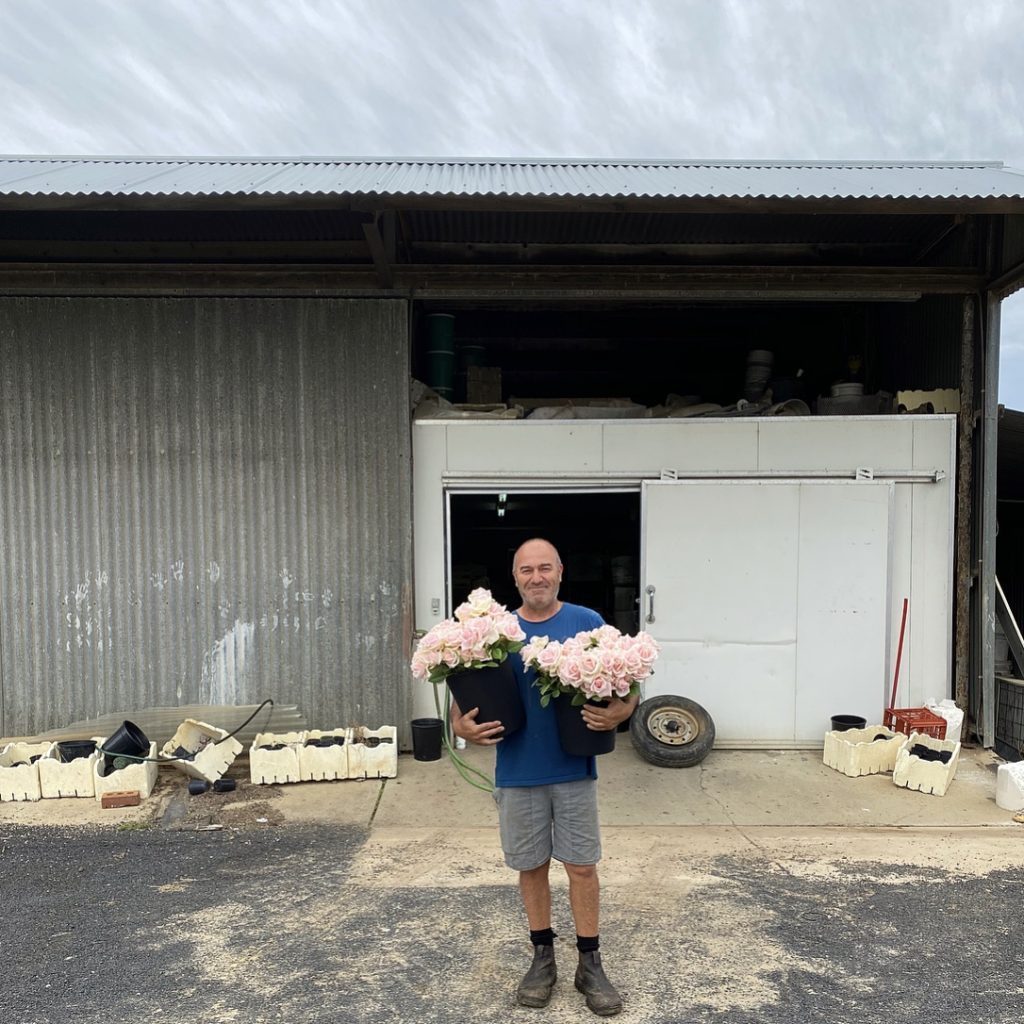 Farmer holding two large buckets of pink roses in front of shed