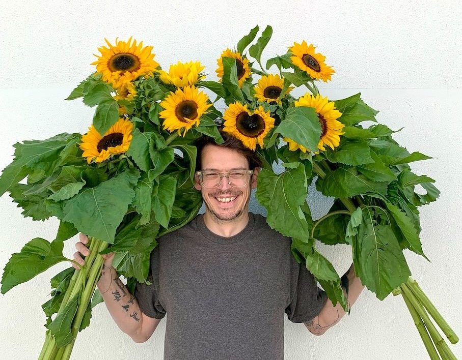 australian grown sunflowers e1751037032579