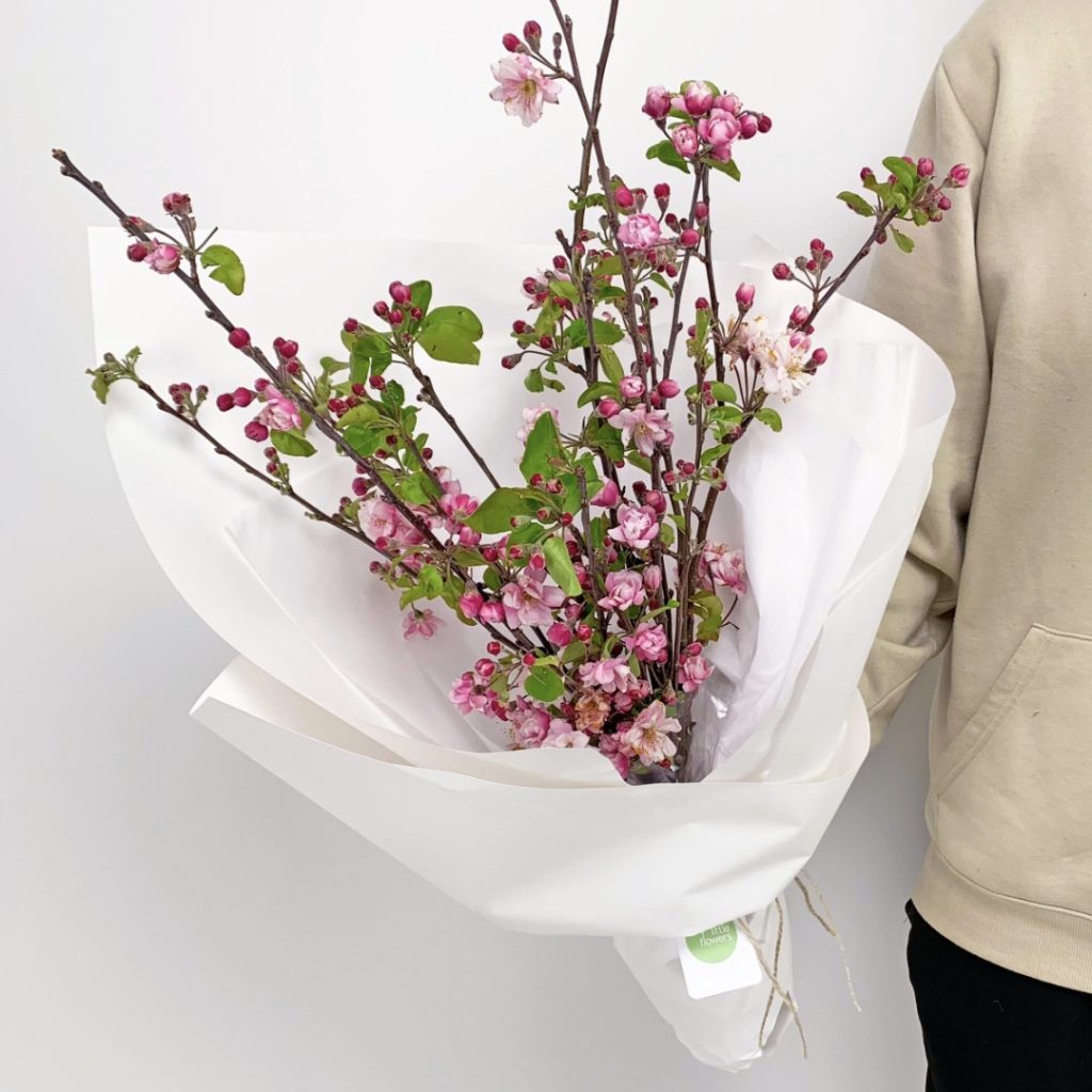 Wrapped bunch of pink blossom branches held by person in beige jumper