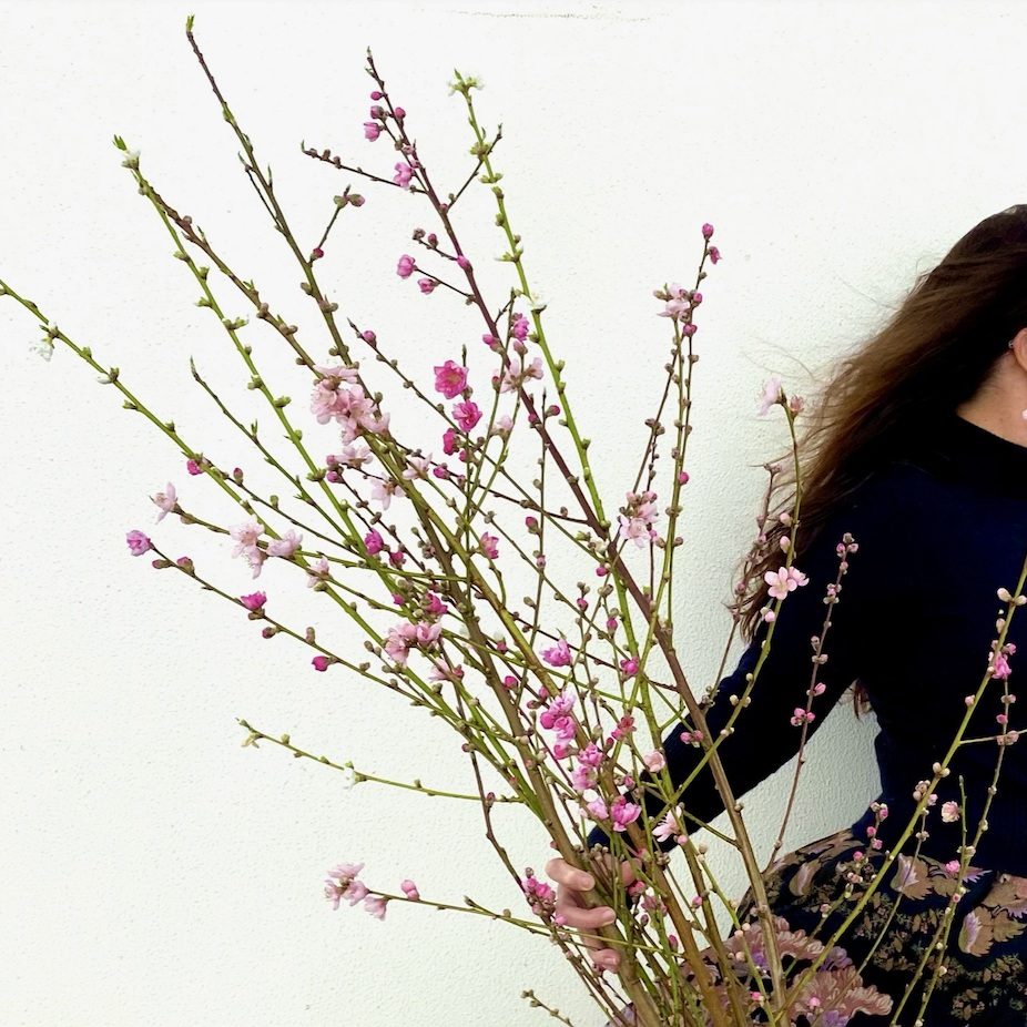 Branches of pink blossom against a white wall