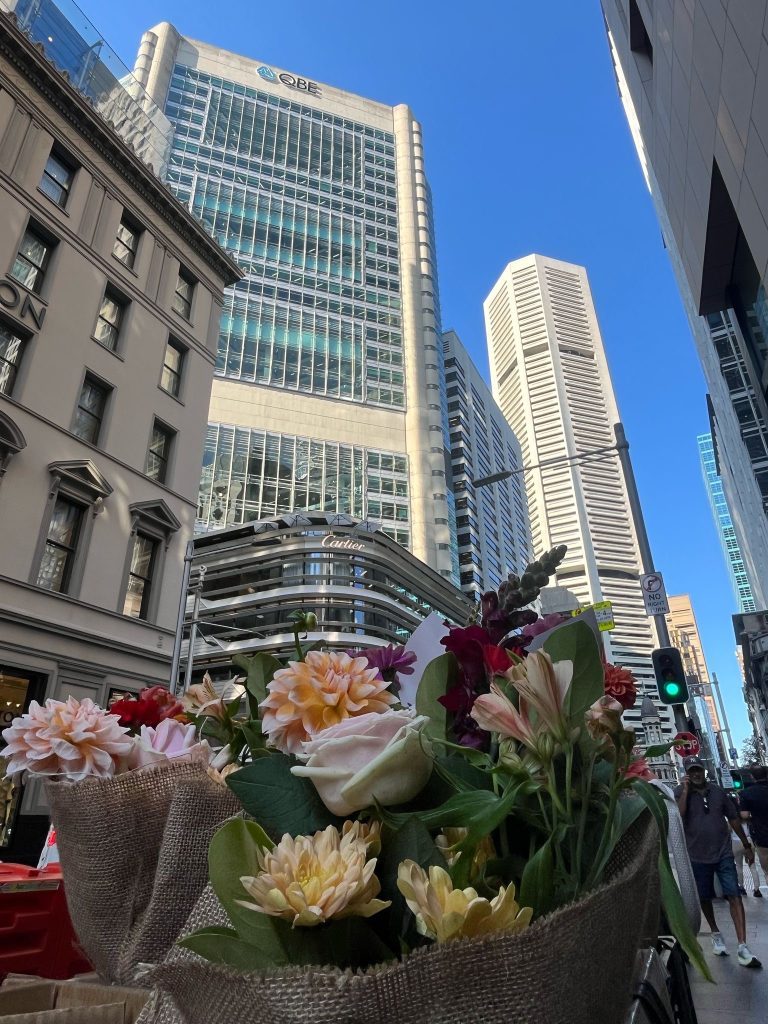 Fresh bunch of flowers held up against Sydney CBD skyscrapers