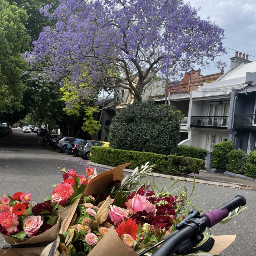 Flowers in a bike basket beneath blooming jacaranda trees in Erskineville