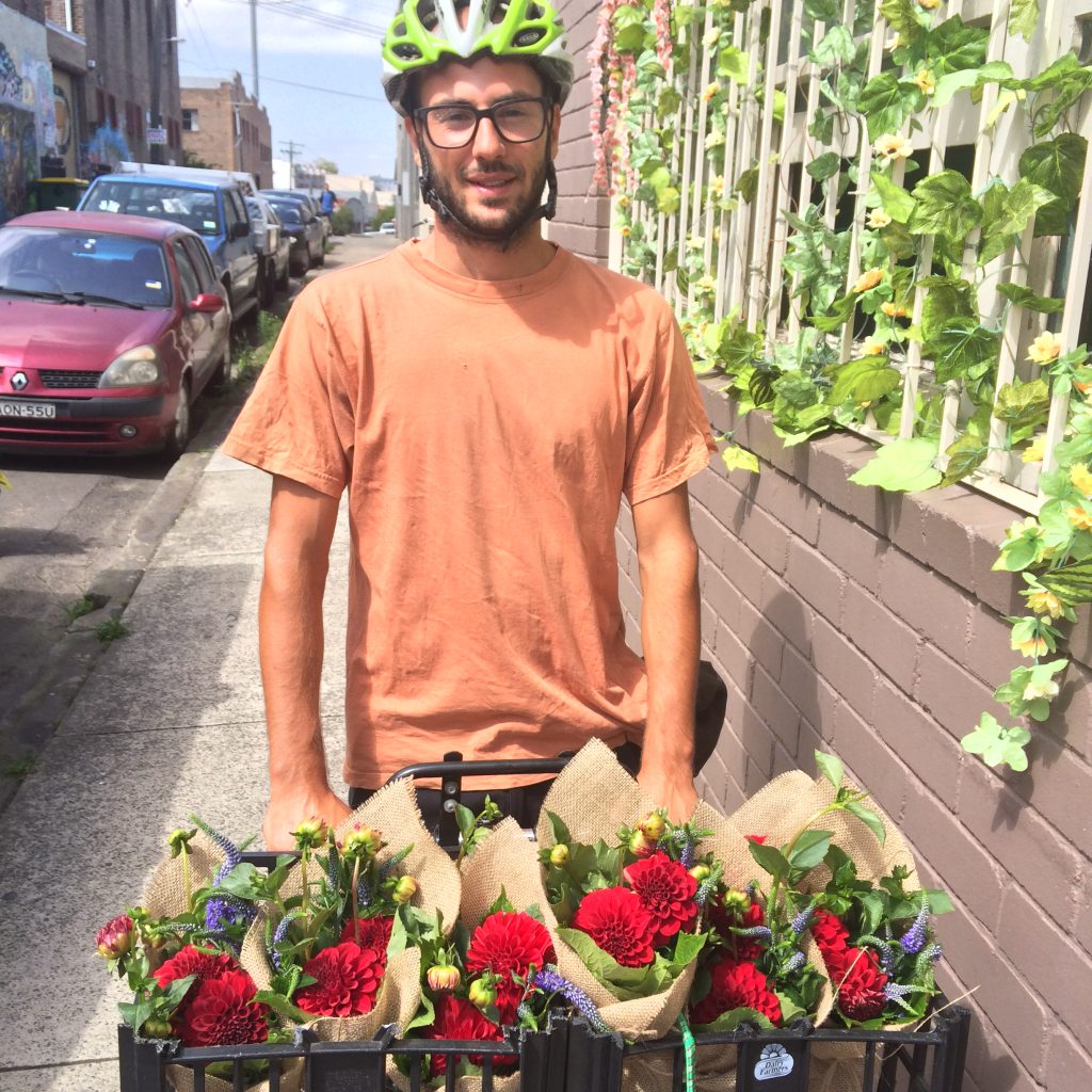 Bike courier holding a crate of red dahlia bunches in St Peters