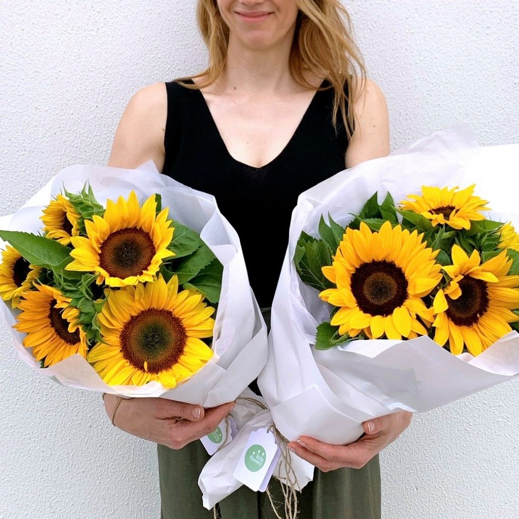 Two sunflower bunches in subscription size held by a person