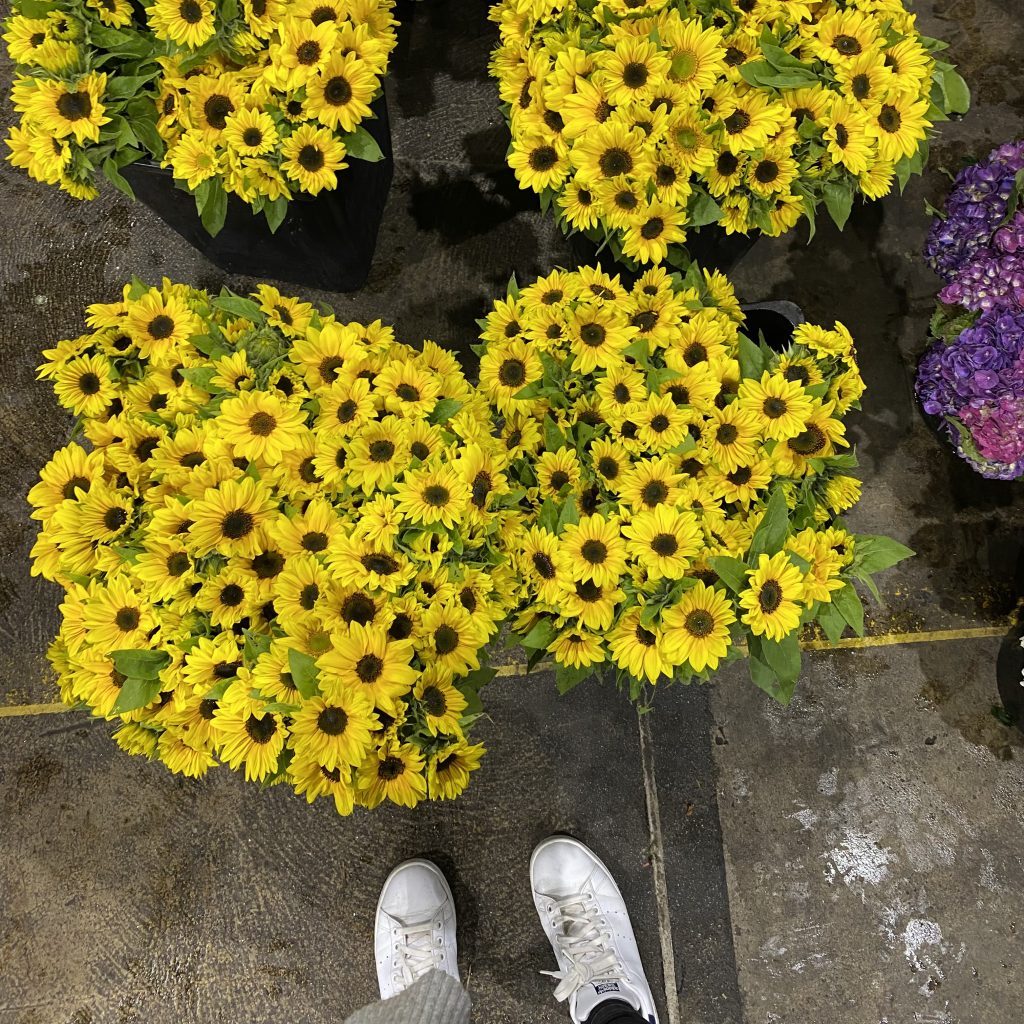 Fresh sunflower bunches at the flower market