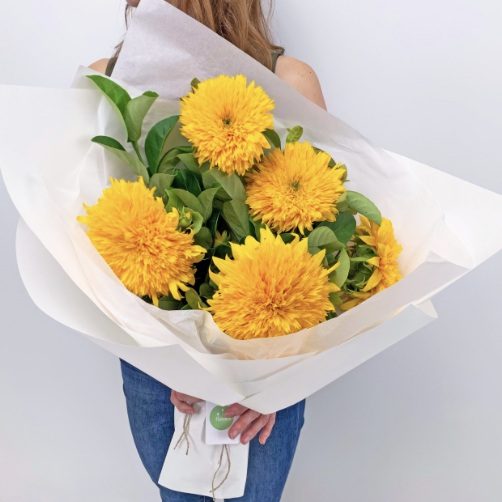 Close-up of fluffy Teddy Bear Sunflowers wrapped in white paper